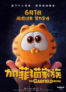  加菲猫家族
