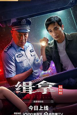  缉拿杨枪枪