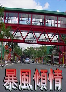  暴风倾情