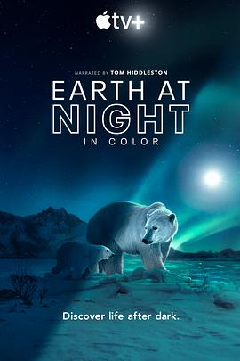  夜色中的地球第二季