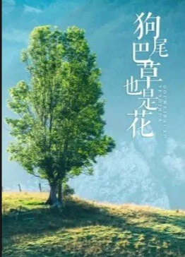  狗尾巴草也是花