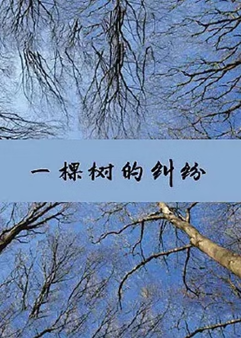  一棵树的纠纷