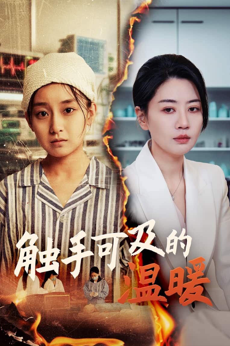  触手可及的温暖