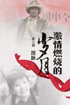  激情燃烧的岁月3