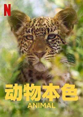  动物本色第二季
